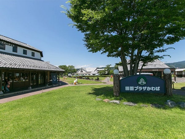 ■【群馬・栃木】春の楽園♪世界一美しいふじのはな物語「あしかがフラワーパーク」&いちご狩り食べ放題&特選牛すき焼きと甘エビ食べ放題&道の駅 田園プラザ川場でお買い物!3